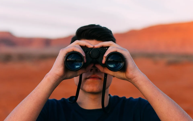 procura - fatura cartão de crédito