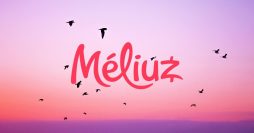 Méliuz fecha parceria com Captalys para novo cartão de crédito