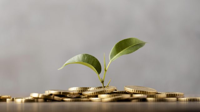 investimentos para iniciantes