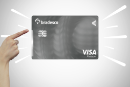 visa platinum