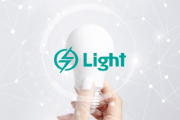 2ª via conta luz light
