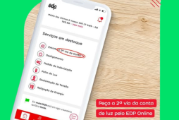 edp 2a via