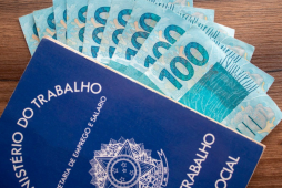carteira de trabalho com salário - novo salário mínimo 2026