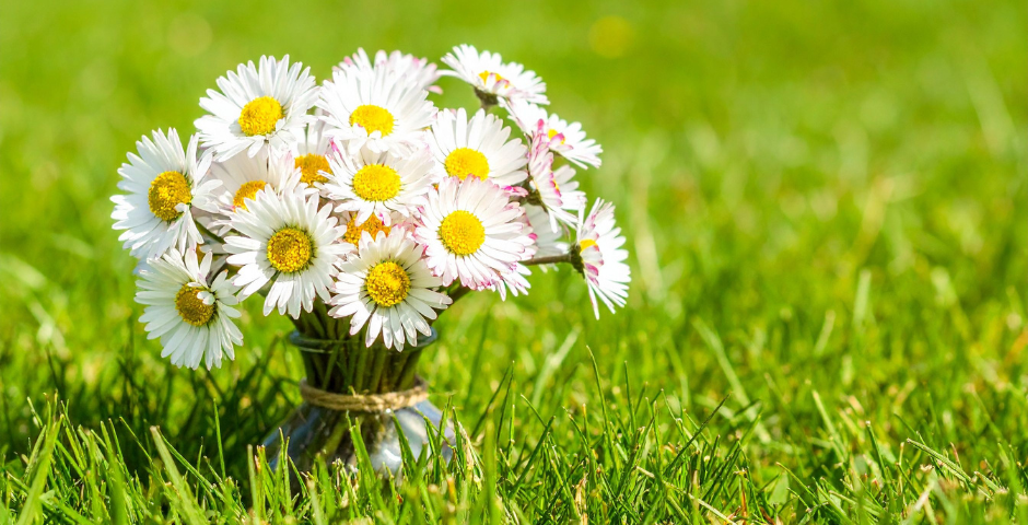 Quanto custa um buquê de flores- margaridas