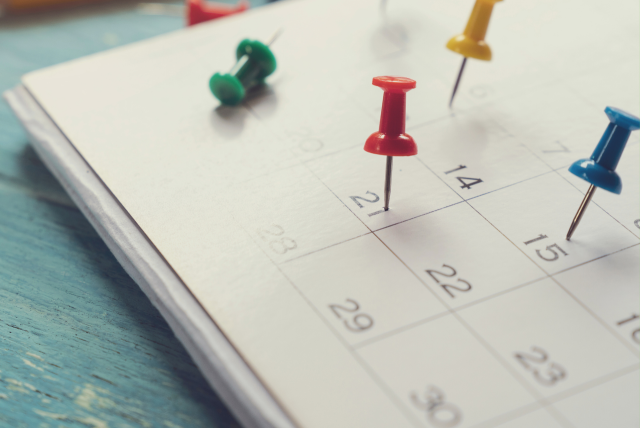 calendário de feriados de novembro