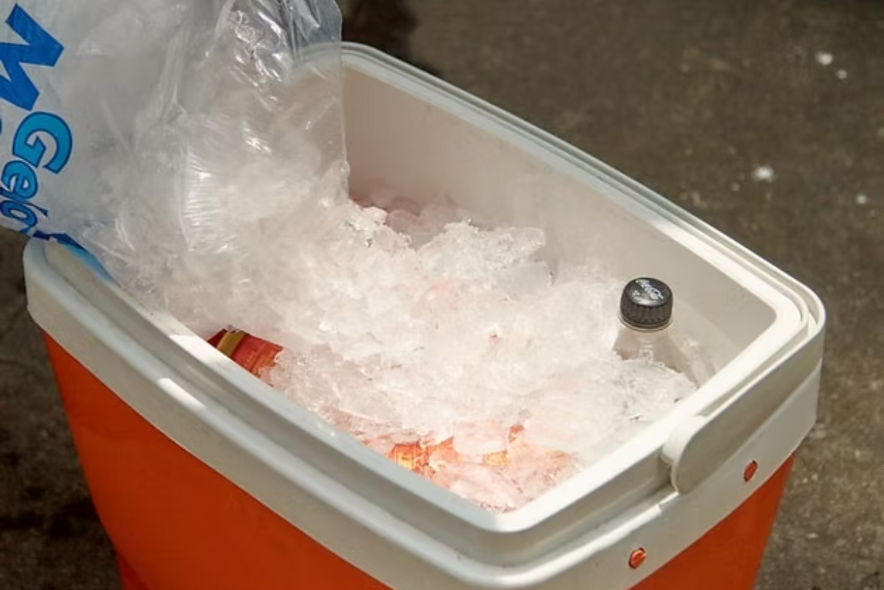 levar cooler para economizar no carnaval